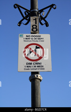 Bilingue Anglais/Gallois Cymraeg panneau "Chiens non admis" Banque D'Images