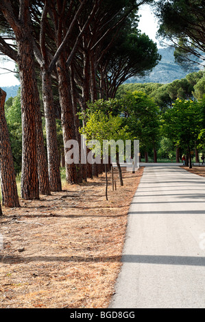 L'une des routes menant à l'Escorial à Madrid, Espagne. UNESCO World Heritage Site. Banque D'Images