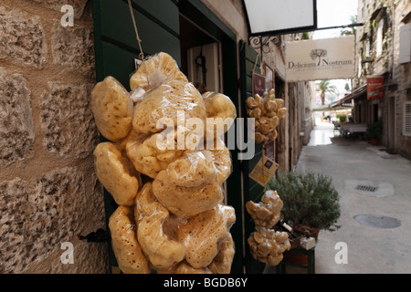 Éponges enveloppée dans du plastique, Trogir, en Dalmatie, Croatie, Europe Banque D'Images