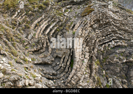 Les strates plissées à Mt. Hoher Ifen de Kleinwalsertal, Allgaeu, Vorarlberg, Autriche, Europe Banque D'Images