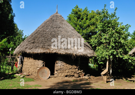 Cabane traditionnelle africaine, grasshut, Gojo, Rift Valley, Oromia, en Éthiopie, l'Afrique Banque D'Images