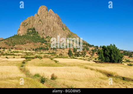 Les champs en terrasses dans les montagnes Adwa Adua, dans le Tigré, l'Éthiopie, l'Afrique Banque D'Images