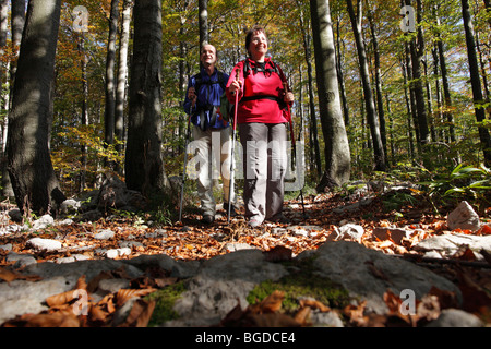 Randonneurs sur la piste forestière, le parc national de Risnjak, Gorski Kotar, Croatie, Europe Banque D'Images