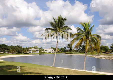 Palmiers et le lac à Naples, Floride USA Banque D'Images