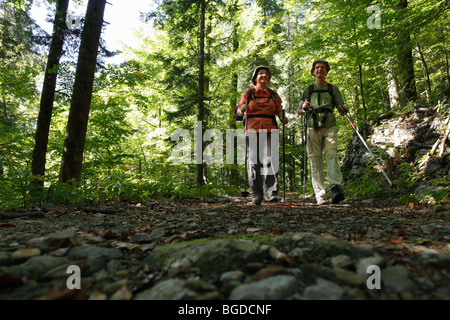 Randonneurs sur la piste forestière, le parc national de Risnjak, Gorski Kotar, Croatie, Europe Banque D'Images