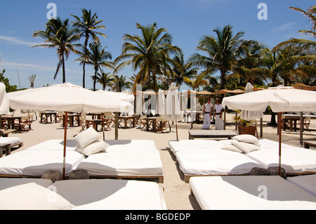 Nikki Beach Restaurant, Miami South Beach, quartier Art déco, Florida, USA Banque D'Images