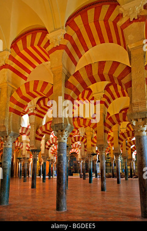 Nefs de la Mezquita (Cathedral-Mosque), ville de Cordoba, UNESCO World Heritage Site, province de Cordoue, Andalousie (Andalousie Banque D'Images