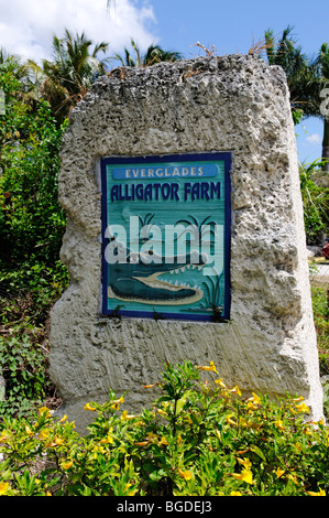 Everglades Alligator Farm, Homestead, Miami, Floride, USA Banque D'Images