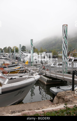 Marina Neumagen-Dhron, brume matinale sur la Moselle, Rhénanie-Palatinat, Allemagne, Europe Banque D'Images