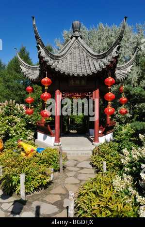 Jardin Chinois, Jardin botanique de Montréal, le Jardin botanique de Montréal, Québec, Canada, Amérique du Nord Banque D'Images