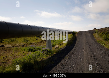 L'eau chaude canalisation, fournit l'eau chaude pour Reykjavik, Islande. Banque D'Images