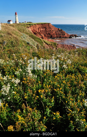 Phare de bassin au Cap du Sud, l'Île du Havre-Aubert, Îles de la Madeleine, Îles de la Madeleine, Québec, Canada Maritime, Nord Banque D'Images