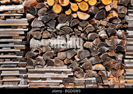 Pile de bois avec bois de hêtre et bouleau Banque D'Images