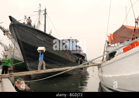 Bateau à voile port de fret Jakarta Sunda Kelapa, Java, Indonésie, Asie du Sud, Asie Banque D'Images