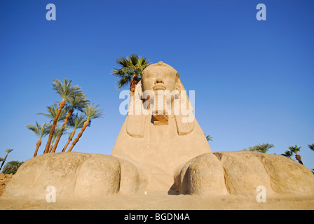 Louxor, Egypte. Vue d'un sphinx sur l'Avenue de Sphinx au temple de Louxor. L'année 2009. Banque D'Images