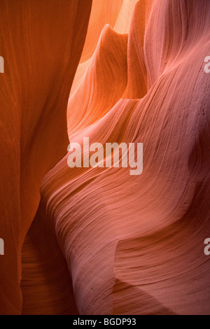 L'intérieur de grès - Lower Antelope Canyon, Arizona Banque D'Images