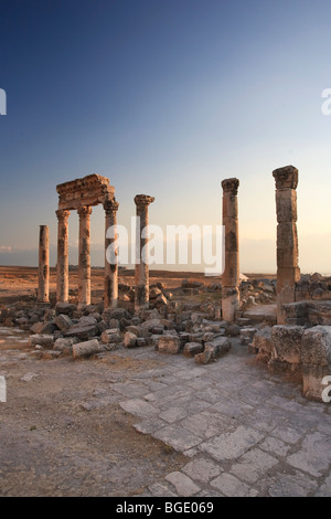 La Syrie, Apamée (Afamia) Site Archéologique (fondée en 3e siècle avant J.-C.), 2km Cardo (Rue Principale Colonnade romaine) Banque D'Images