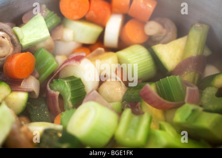 Divers types de légumes dans une chaudière Banque D'Images