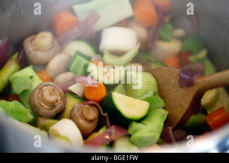 Divers types de légumes dans une chaudière Banque D'Images