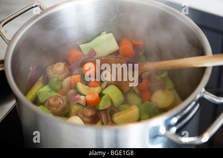 Divers types de légumes dans une chaudière Banque D'Images