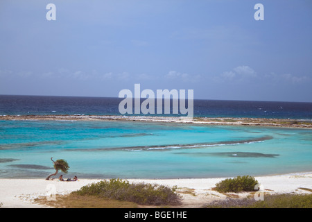 Baby Beach propose une plongée avec tuba et la place pour les touristes et les habitants sur l'île des Caraïbes d'Aruba Banque D'Images