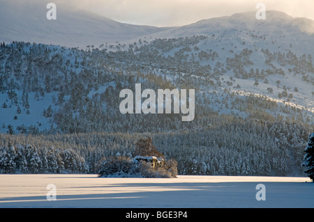 Soleil d'hiver par Loch Eilean à Rothiemurchus, Aviemore Inverness Ecosse 5740 SCO Banque D'Images