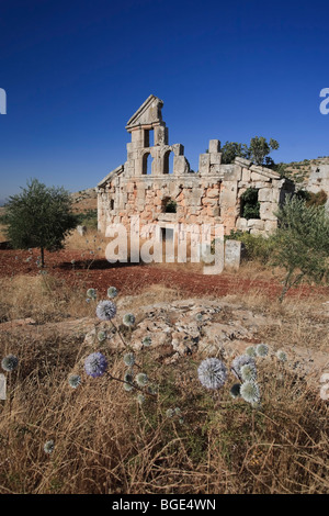 La Syrie, Alep, les villes mortes, Ruines de Deir Samaan Village Banque D'Images