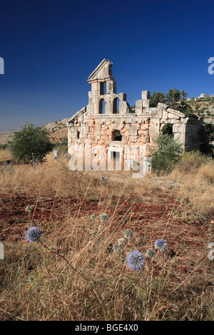 La Syrie, Alep, les villes mortes, Ruines de Deir Samaan Village Banque D'Images