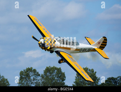 Yakovlev Yak-52 appareil à air show 2009 Banque D'Images