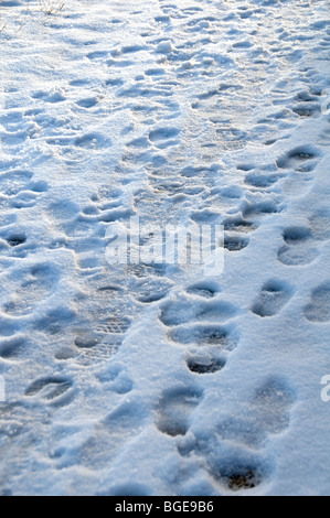 Des traces de pas dans la neige sur un trottoir à Manchester, Angleterre Banque D'Images