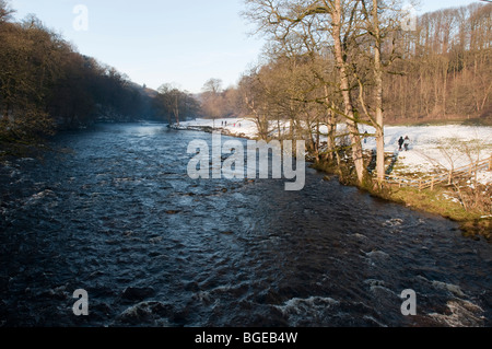 La rivière Wharfe hivers sur une journée, Bolton Abbey estate, North Yorkshire, England, UK Banque D'Images