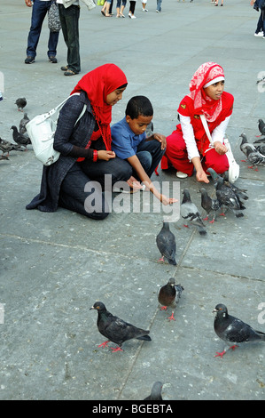 Alimentation tourisme pigeons sauvages Columba livia juste en dehors de Trafalgar Square London England UK Banque D'Images