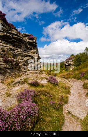 Bridestones à dalby forest Banque D'Images