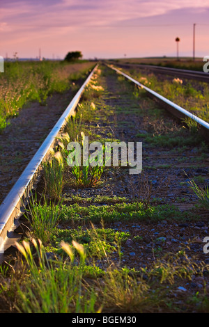 Les voies de chemin de fer dans la ville de Morse, Saskatchewan, Canada. Banque D'Images