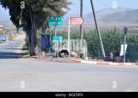 Israël, la Galilée, Metula, (fondée en 1896) Banque D'Images