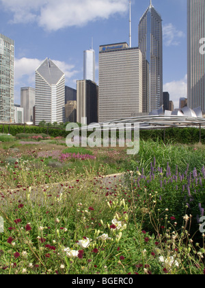 L'Illinois Chicago Elk 1006 skyline du Millennium Park Lurie Garden Banque D'Images