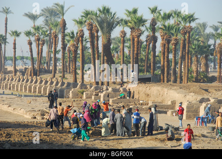 Louxor, Egypte. Une fouille archéologique sur l'Avenue de Sphinx au temple de Louxor. L'année 2009. Banque D'Images