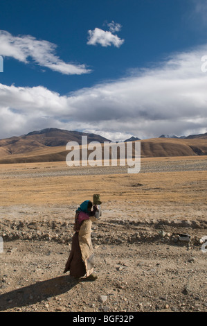 Un fervent pèlerin tibétain se prosterne le long du haut plateau du Tibet en route pour le temple du Jokhang à Lhassa. Banque D'Images