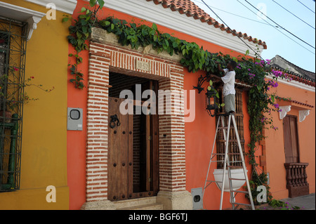 Maisons peintes en couleurs dans la vieille ville de Cartagena, Colombie, Amérique du Sud Banque D'Images