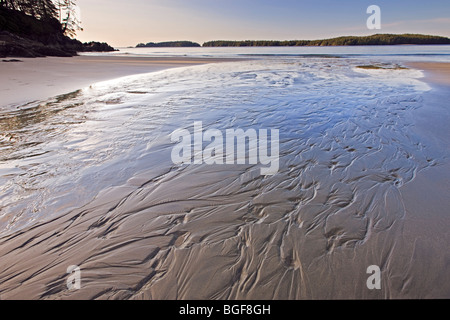 Des modèles dans le sable humide le long de la plage de Tonquin, Ville de Tofino, une aire de transition de la Réserve de biosphère de l'UNESCO de Clayoquot Sound, Banque D'Images