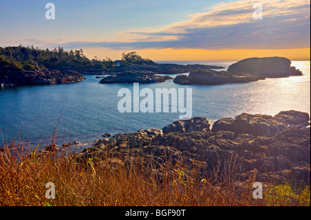 Les affleurements rocheux de South Beach, parc national Pacific Rim, la plage Long, réserve de biosphère de l'UNESCO de Clayoquot Sound, sur la côte ouest, Banque D'Images