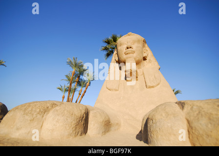 Louxor, Egypte. Vue d'un sphinx sur l'Avenue de Sphinx au temple de Louxor. Banque D'Images