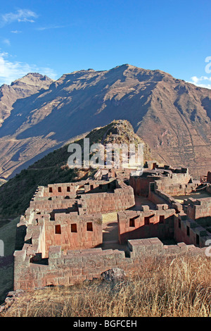 Les ruines Inca près de Pisac, Pérou, Amérique du Sud Banque D'Images