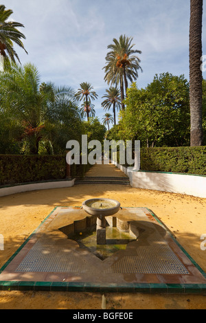 Fontaine de Jardin de las Damas, jardins de l'Alcazar, Séville, Andalousie, Espagne Banque D'Images