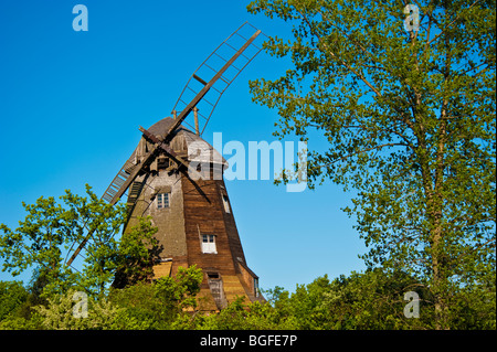 Pour le pompage de l'eau au moulin, Palczewo Palschau en Pologne | Windmühle, Polen Banque D'Images