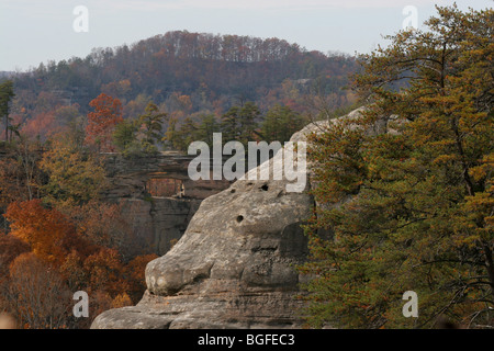 Red River Gorge Kentucky arc double couleurs d'automne Banque D'Images