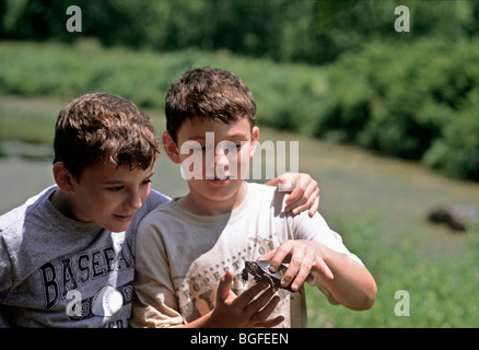 8 ans d'examiner les enfants de l'Est sauvage Tortue peinte (Chrysemys picta picta). Pennington, New Jersey Banque D'Images