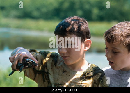 Les enfants de 8 ans est de l'examiner Tortue peinte (Chrysemys picta picta) à l'Étang du bassin hydrographique. Pennington, New Jersey Banque D'Images