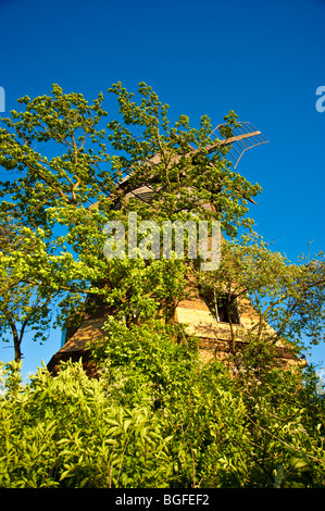 Pour le pompage de l'eau au moulin, Palczewo Palschau en Pologne | Windmühle, Polen Banque D'Images