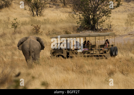 Les touristes sur la commande de jeu Regarder l'éléphant, Hobatere, Damaraland, région de Kunene, en Namibie. Banque D'Images